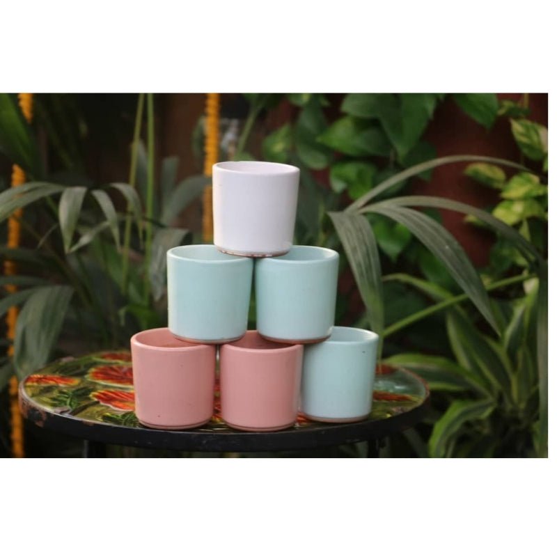 7Cm Ceramic Flowerpot - Savvy Gardens Centre