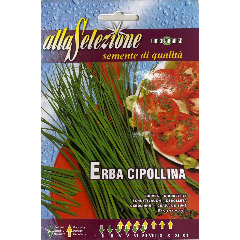 Altaselezione Aromatic Herb Chives