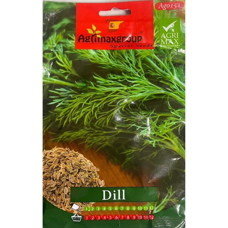 Agrimax Dill - Savvy Gardens Centre