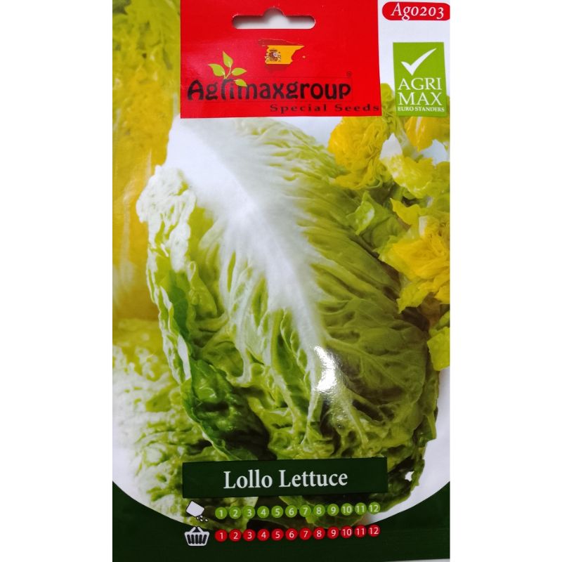 Agrimax Lollo Lettuce - Savvy Gardens Centre