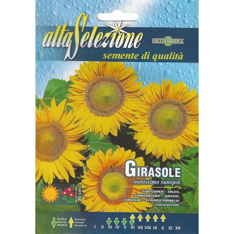 Alta Selezione Girasole Sunflower - Savvy Gardens Centre