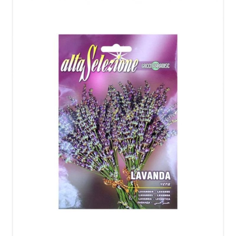 Alta Selezione Lavender - Savvy Gardens Centre