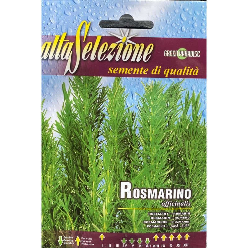 Altaselezione Rosemary - Savvy Gardens Centre