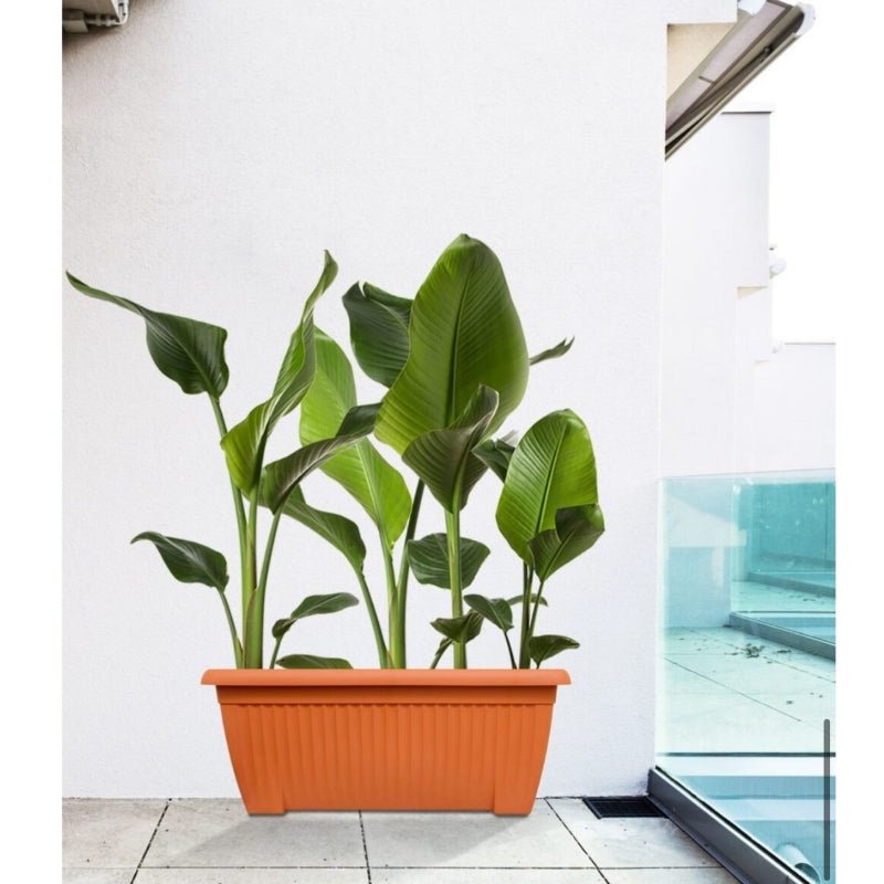 Baba Biodegradable Pot No. Bi - 508 *18Cm Color: Cotta - Savvy Gardens Centre