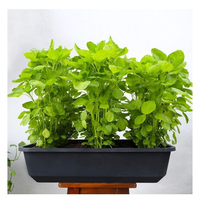 Baba Biodegradable Pot No. Bi - 509 * 16Cm Color: Zen Grey - Savvy Gardens Centre