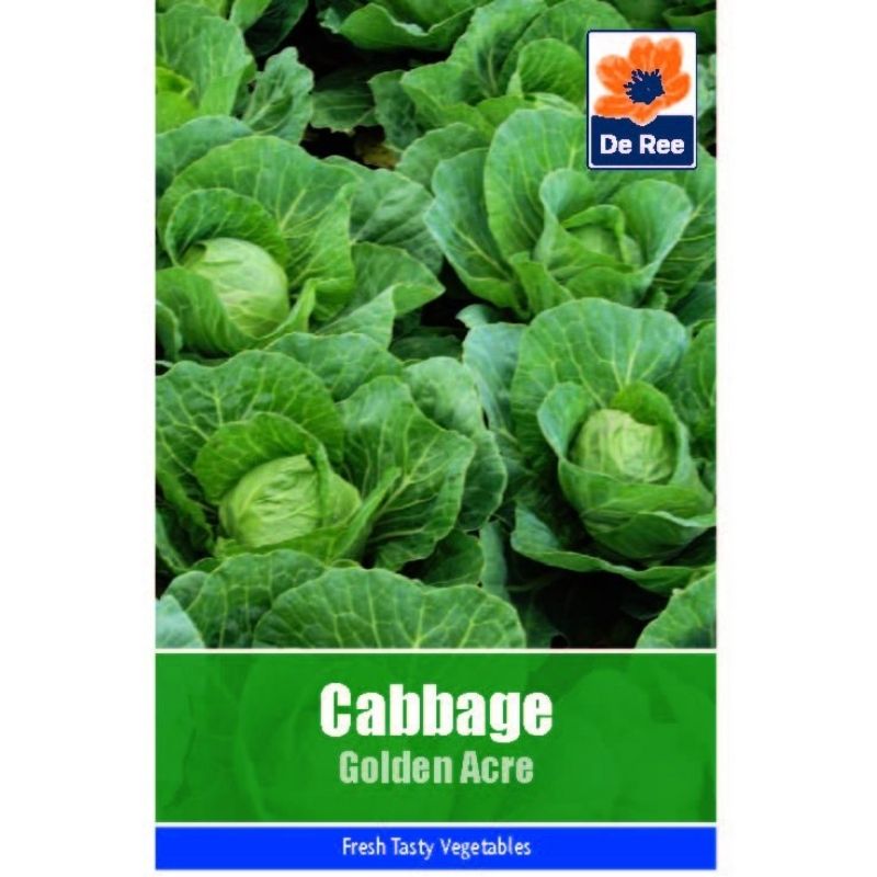 De Ree Cabbage Golden Acre - Savvy Gardens Centre