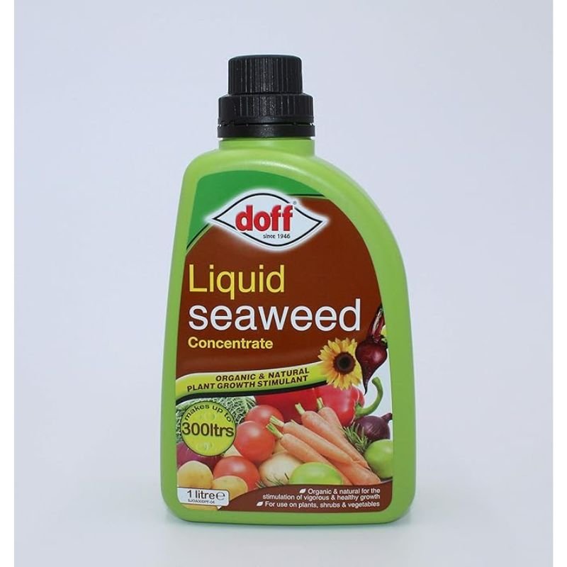 Doff Liquid Seaweed Concentrate 1L - Savvy Gardens Centre
