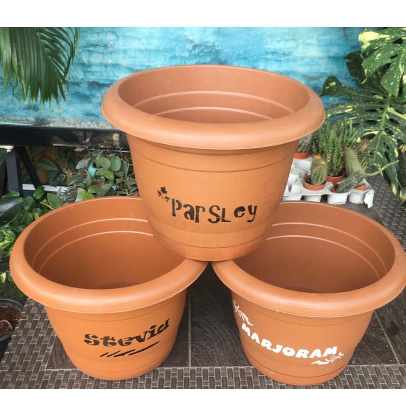 Elif Bahar Pot No 4 - Savvy Gardens Centre