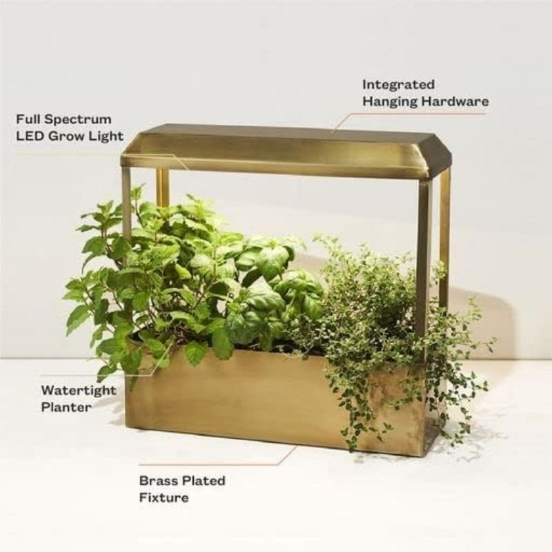 Modern Sprout Smart Growhouse - Savvy Gardens Centre