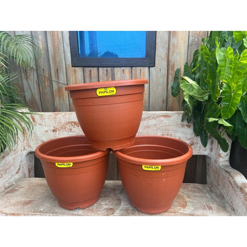 Papillion Pot 35Cm - Savvy Gardens Centre