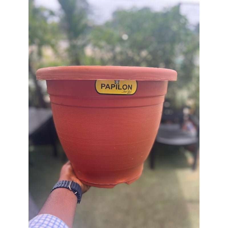 Papillon Pot 30Cm - Savvy Gardens Centre