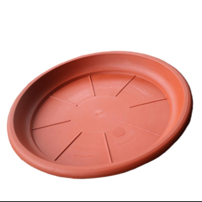 Plastic Round Saucers No 250 25Cm - Savvy Gardens Centre