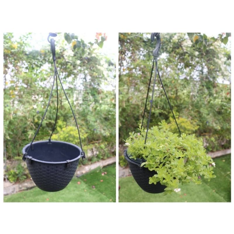 Ratolla Round Hanging Flowerpot - Savvy Gardens Centre