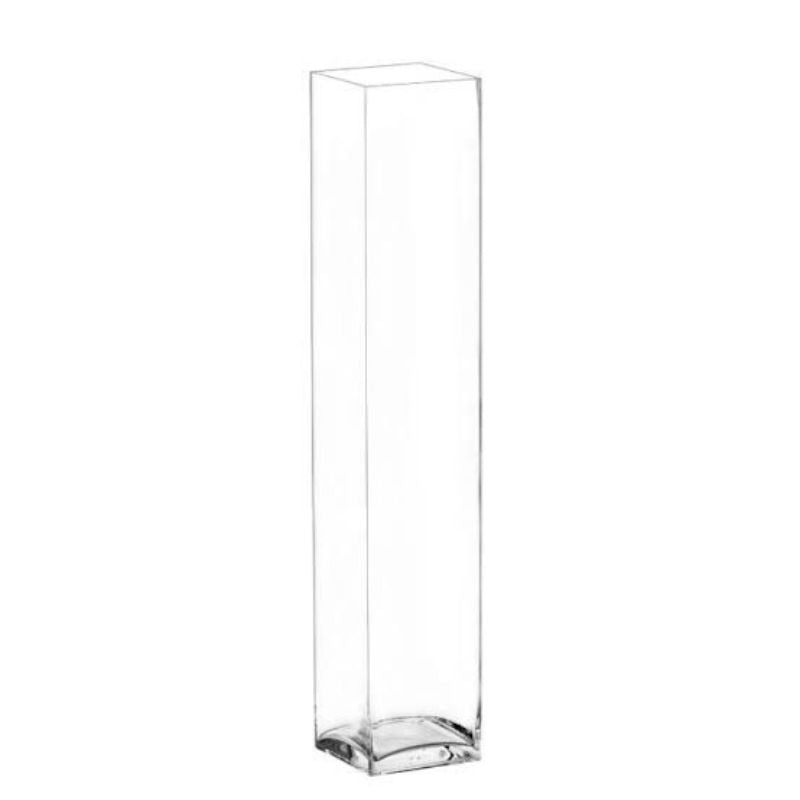 Rectangular Transparent Hydroponic Vase 50cm - Savvy Gardens Centre
