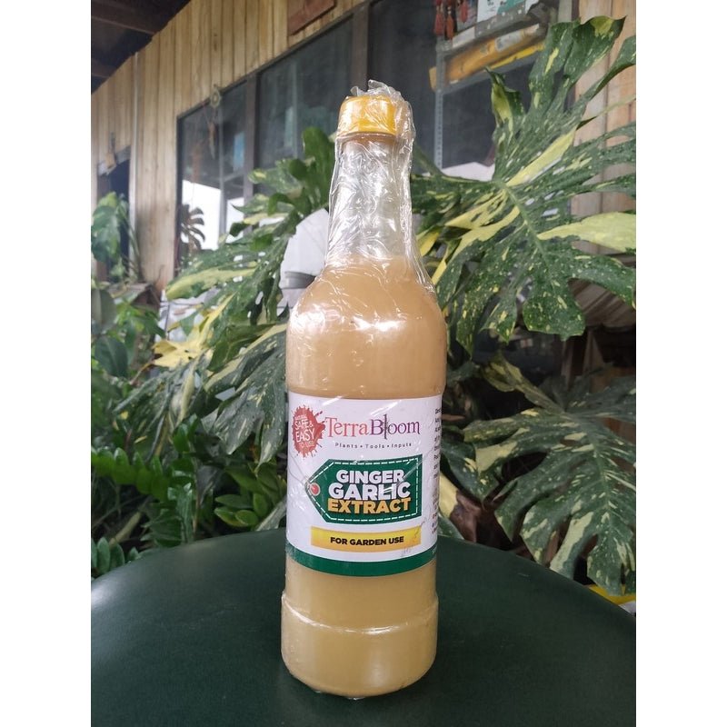 Terra Bloom Ginger Garlic extract 750ml - Savvy Gardens Centre