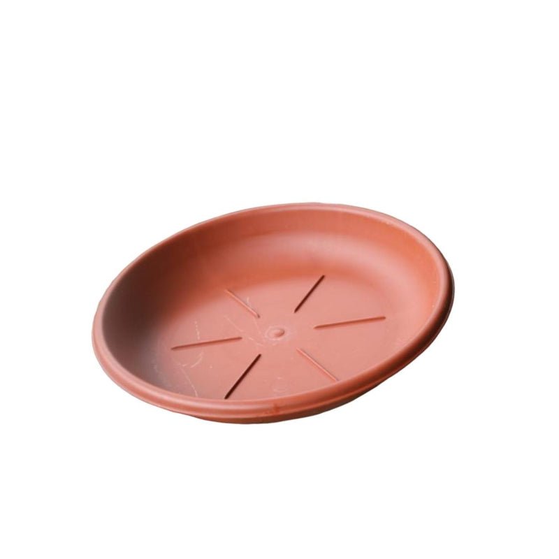 The Greenfileds Collection Saucer Terracotta 24Cm - Savvy Gardens Centre