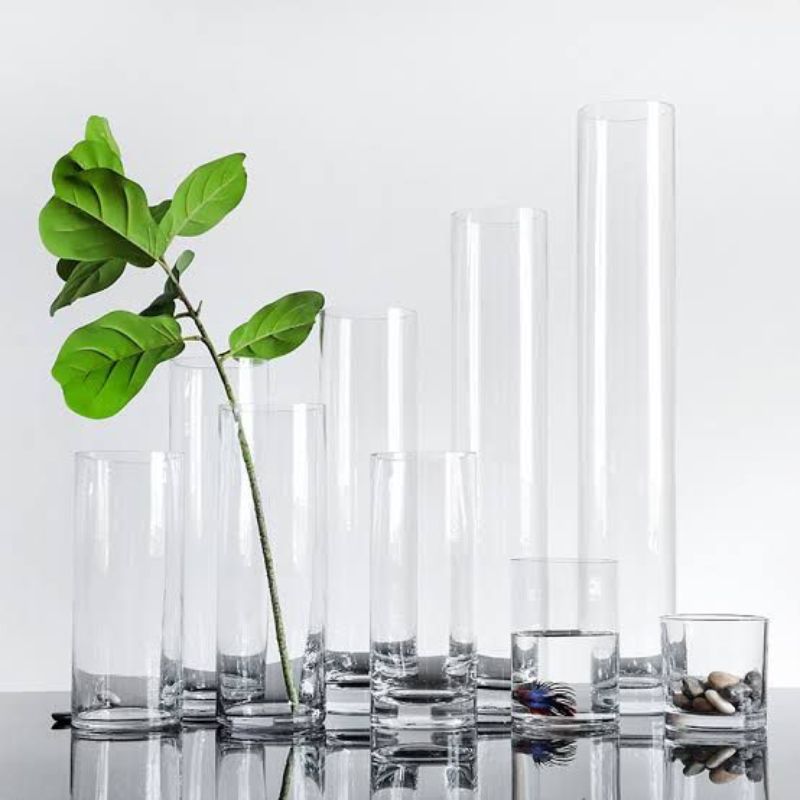 Transparent Hydroponic Vase 70cm - Savvy Gardens Centre
