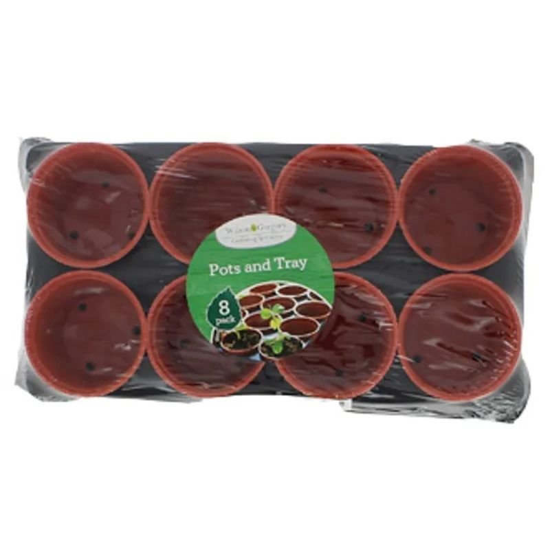 Wilson & Gregory Pots with Tray - Savvy Gardens Centre