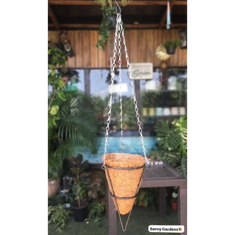 Wrought Iron Hanging Cone Planter - Savvy Gardens Centre