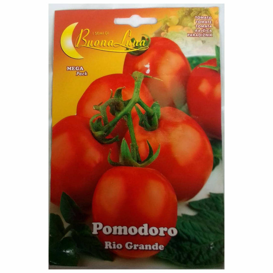 Buona Luna De Promodoro Tomato Seeds - LGC