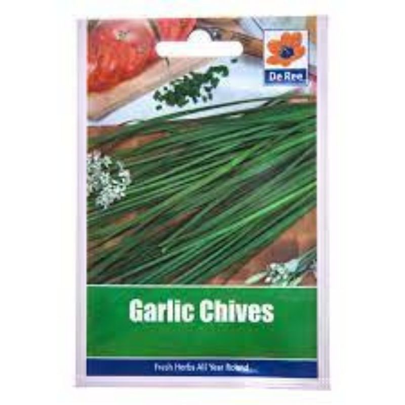 DE REE GARLIC CHIVES - Savvy Gardens Centre