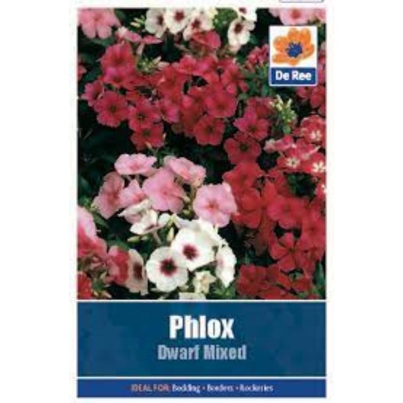 DE REE PHLOX DWARF MIXED - Savvy Gardens Centre