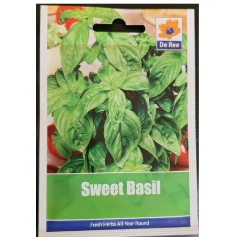 DE REE SWEET BASIL - Savvy Gardens Centre