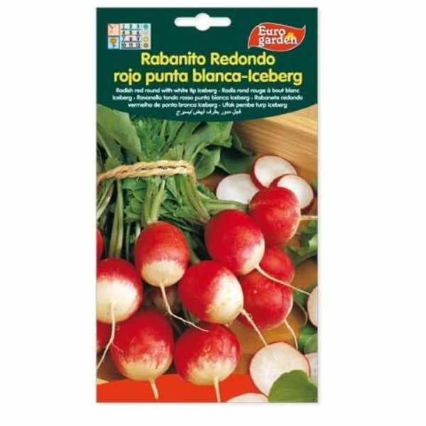 Euro Garden Radish Iceberg Seeds - LGC