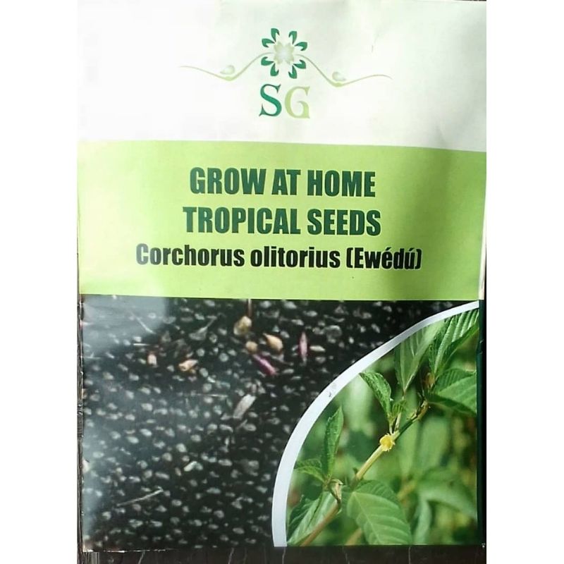 SG TROPICAL SEEDS CORCHORUS OLITORIUS (EWEDU) - Savvy Gardens Centre