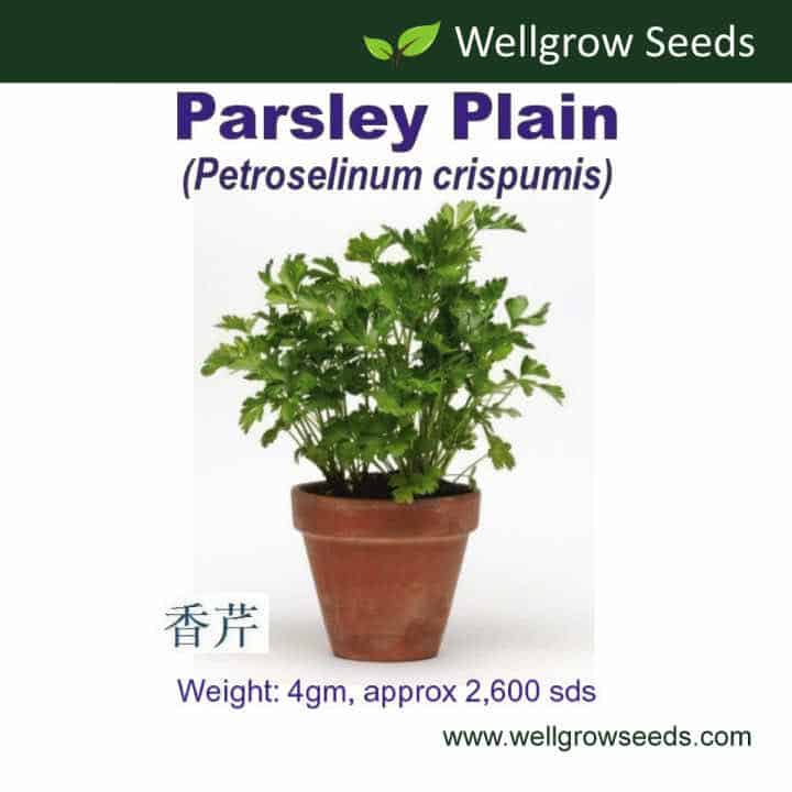 Wellgrow Parsley Plain Seeds - LGC