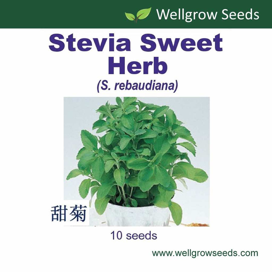 Wellgrow Stevia Sweet Herb Seeds - LGC