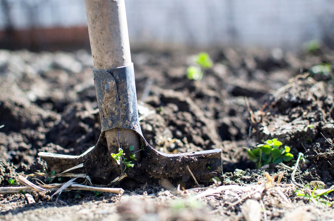 Composting in 7 Steps - Savvy Gardens Centre