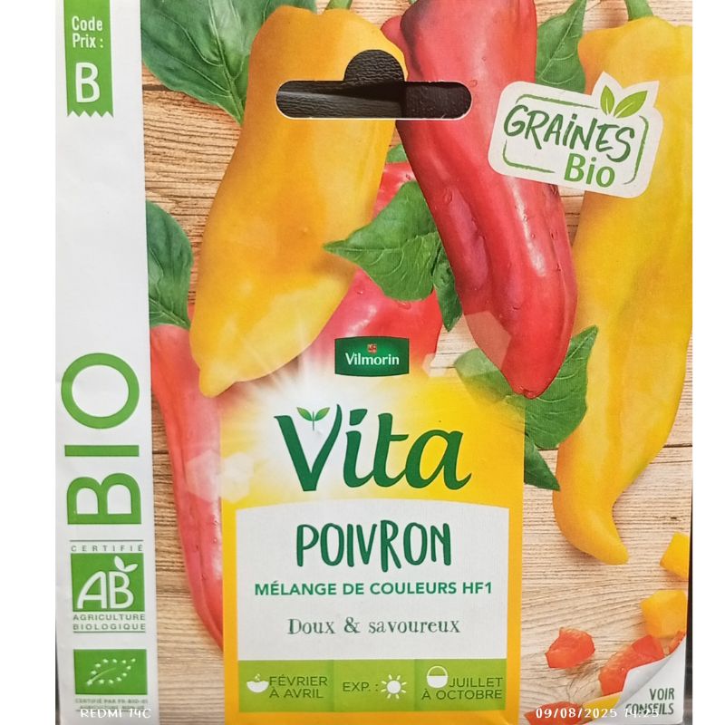 Vilmorin Vita Sweet Pepper Mix Of Colors F1
