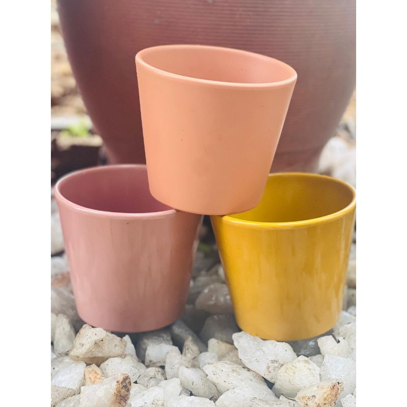 Ceramic Bonsai planters