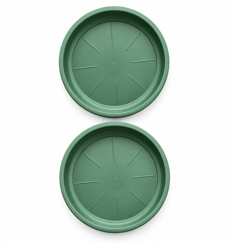 20cm Plant Saucer - Savvy Gardens Centre