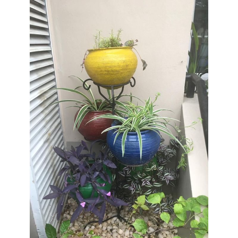 4-Tier Stand With Clay Pots - Savvy Gardens Centre