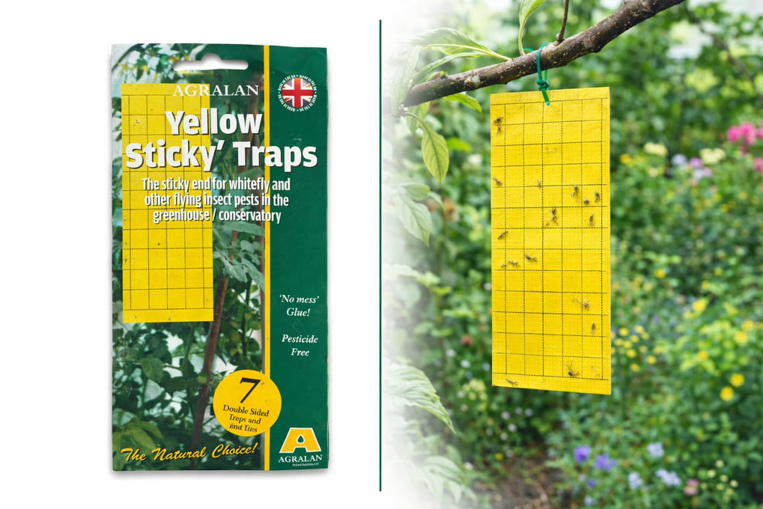 Agralan Yellow Sticky Trap - Savvy Gardens Centre