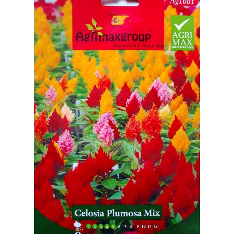 Agrimax Celosia Plumosa Mix Flower - Savvy Gardens Centre