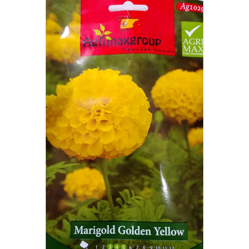 Agrimax Marigold Golden Yellow - Savvy Gardens Centre