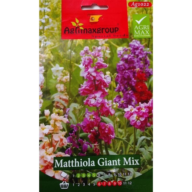 Agrimax Matthiola Giant Mix Flower - Savvy Gardens Centre