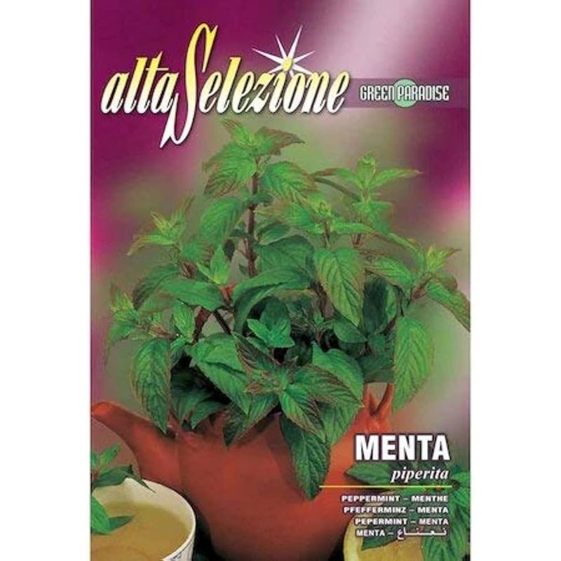 Alta Selezione Menta Peppermint - Savvy Gardens Centre