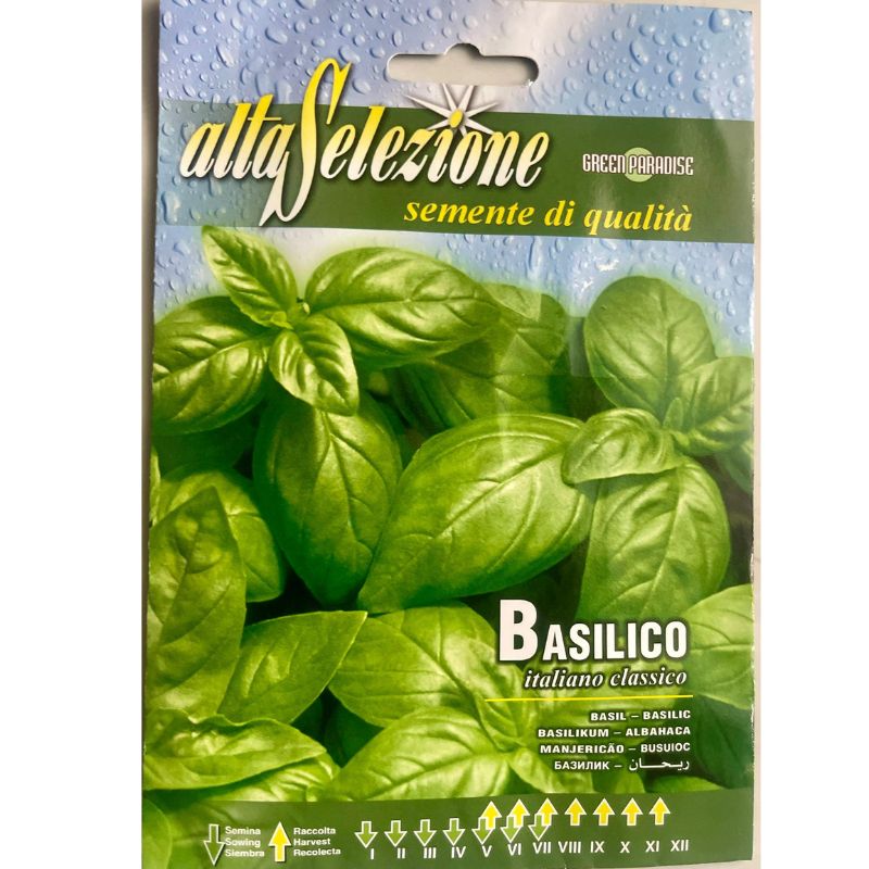 Altaselezione Basil Italian - Savvy Gardens Centre