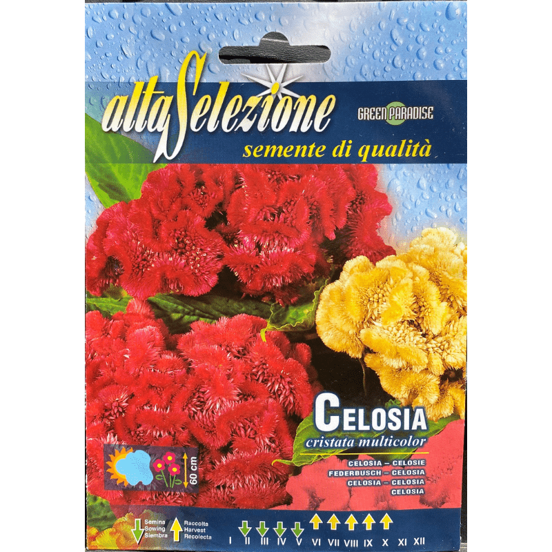 Altaselezione Celosia Cristata Mixed - Savvy Gardens Centre