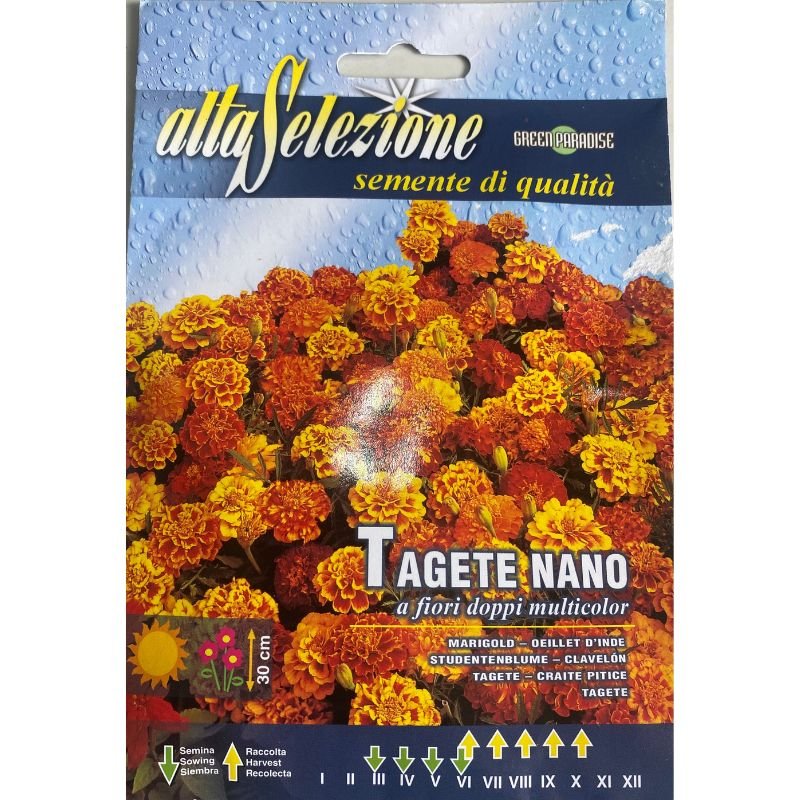 Altaselezione Marigold Dwarf Mix - Savvy Gardens Centre