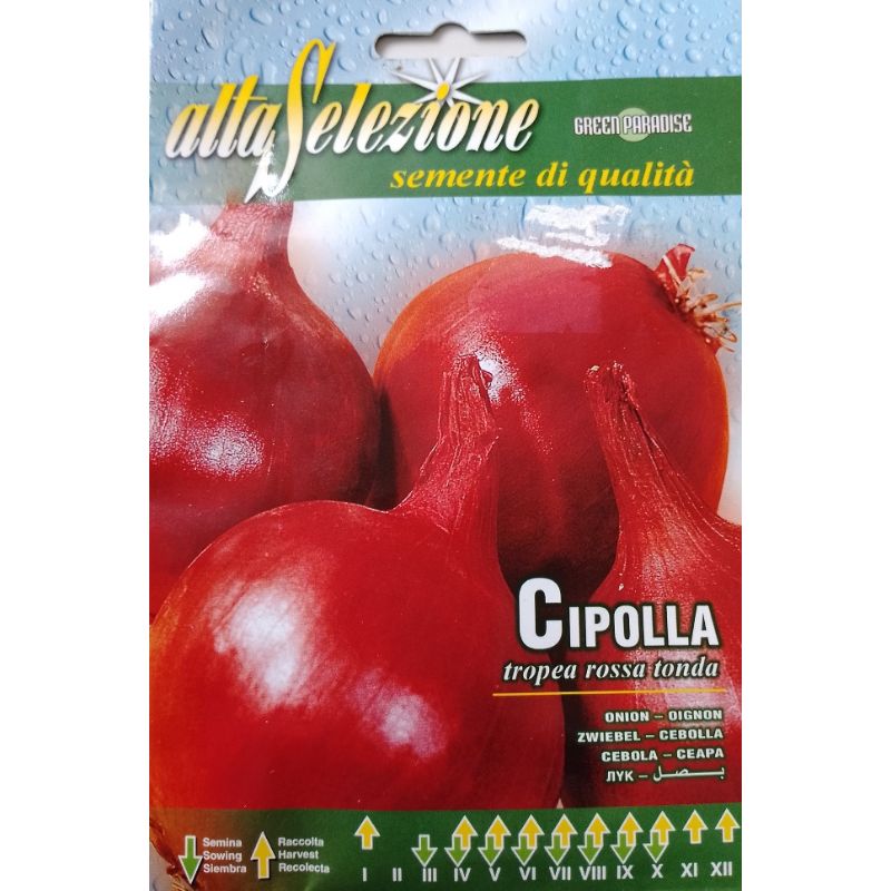 Altaselezione Onion Tropea - Savvy Gardens Centre