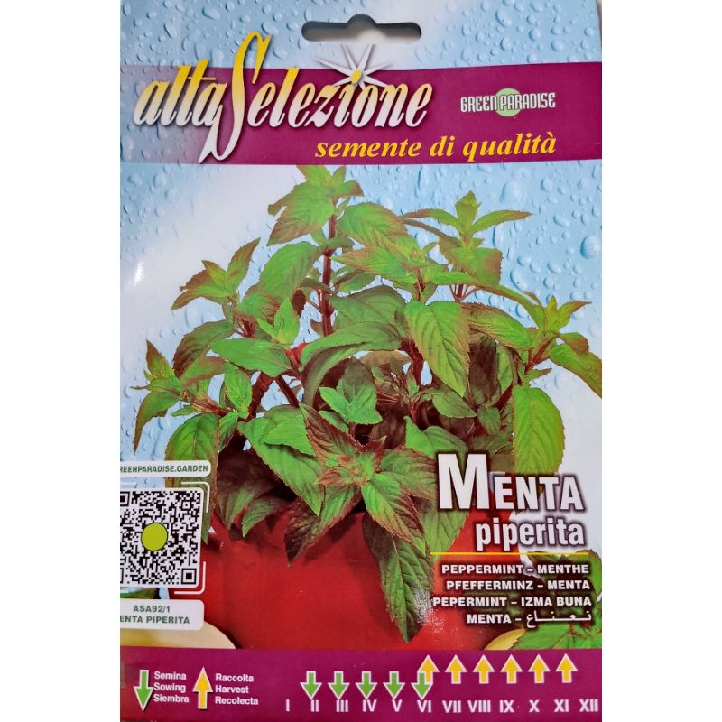 Altaselezione Peppermint - Savvy Gardens Centre
