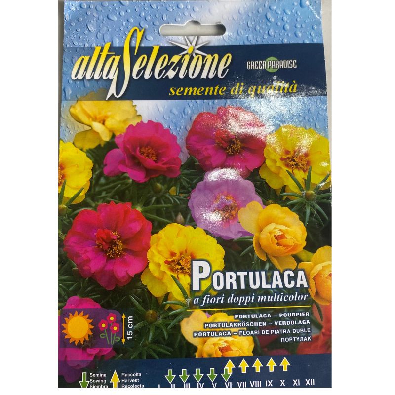 Altaselezione Portulaca Multicolor - Savvy Gardens Centre