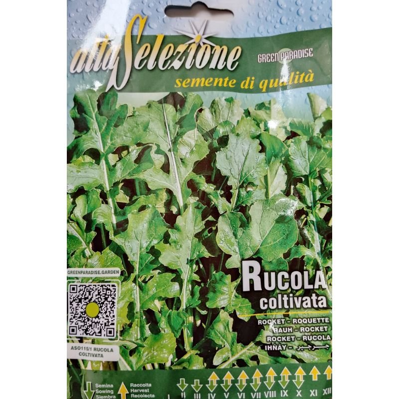 Altaselezione Rocket Salad Leave - Savvy Gardens Centre