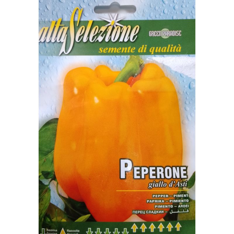 Altaselezione Yellow Bell Sweet Pepper - Savvy Gardens Centre