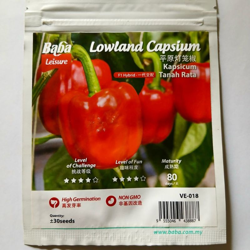 Baba Leisure Lowland Capsium - Savvy Gardens Centre